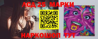 гашик Бийск