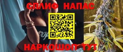 гашик Бийск