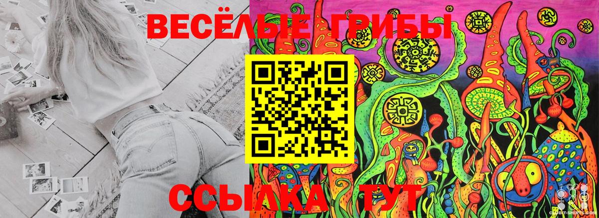 Псилоцибиновые грибы Psilocybine cubensis  Вход с VPN  даркнет сайт  Ипатово 
